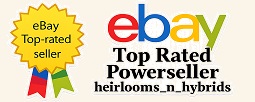 Ebay Top Rated Power Seller