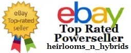 Ebay Top Rated Power Seller